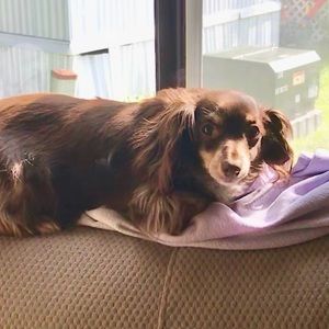 Meet your Posher, Steph